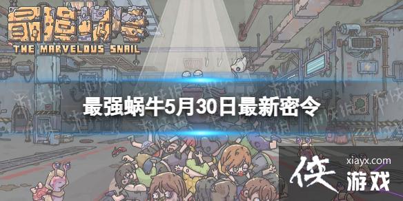 ��ǿ��ţ5��30����������