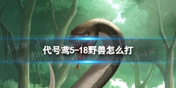 �����5-18Ұ����ô��