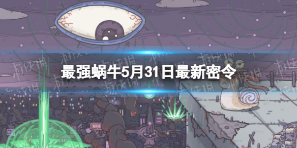 ��ǿ��ţ5��31����������