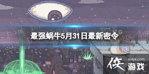 ��ǿ��ţ5��31����������