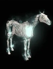 《暗黑破坏神4》坐骑种类一览 有哪些坐骑? 《暗黑破坏神4》坐骑种类一览 有哪些坐骑?