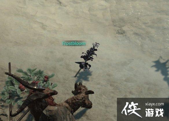 《暗黑破坏神4》全支线任务攻略指南 《暗黑破坏神4》全支线任务攻略指南