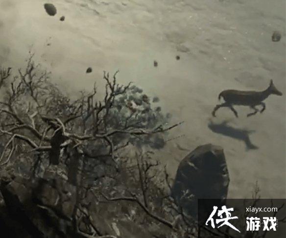 《暗黑破坏神4》全支线任务攻略指南 《暗黑破坏神4》全支线任务攻略指南