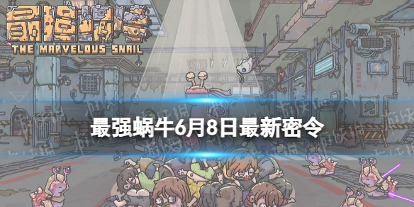 ��ǿ��ţ6��8����������