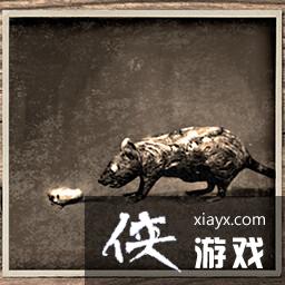 ʧ��֢�ر����ר����ô����