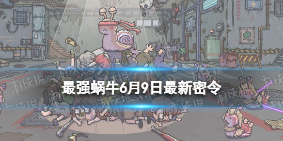 ��ǿ��ţ6��9����������