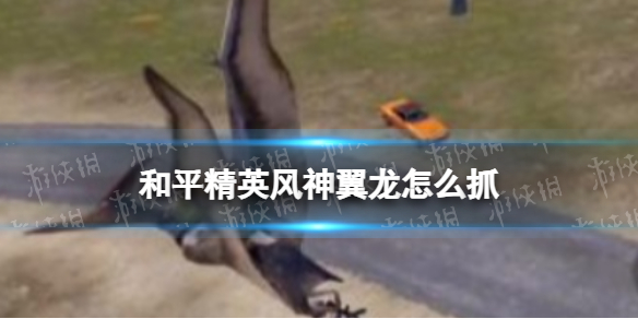 ��ƽ��Ӣ����������ôץ