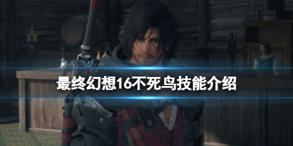 �����ջ���16���������ܽ��� ��������Ч����ǿ����һ��