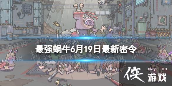 ��ǿ��ţ6��19����������