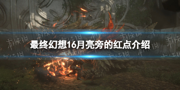 �����ջ���16�������Եĺ����ʲô�� �����Եĺ�����