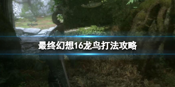 �����ջ���16�������ʲô���ϣ�����򷨹���