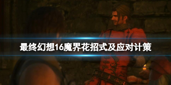 �����ջ���16��ħ�绨��ô��ħ�绨��ʽ��Ӧ�ԼƲ�