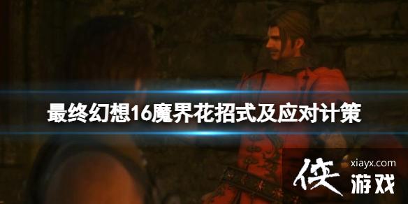 �����ջ���16��ħ�绨��ô��ħ�绨��ʽ��Ӧ�ԼƲ�