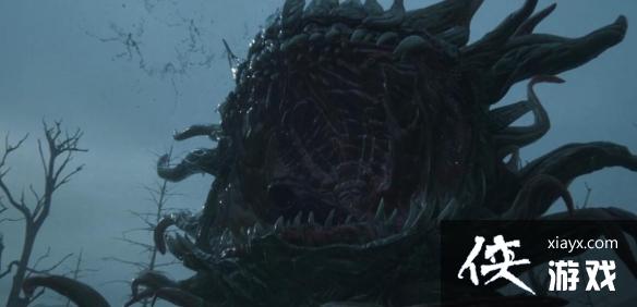 �����ջ���16��ħ�绨��ô��ħ�绨��ʽ��Ӧ�ԼƲ�