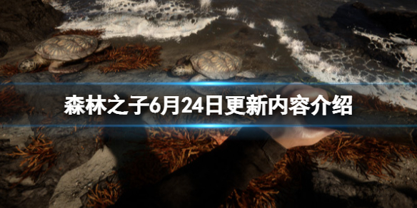 ��ɭ��֮�ӡ�6��24�ո������ݽ��� 6��24�ո�����ʲô��