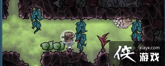 ȱ���洢����ʲô��