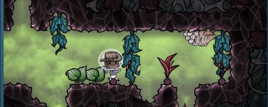 ȱ���ر�ש��ʲô��