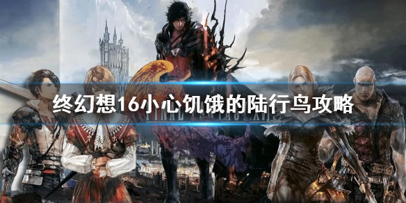 �����ջ���16��С�ļ�����½������    ½����������ô���?