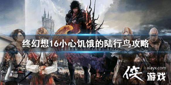 �����ջ���16��С�ļ�����½������    ½����������ô���?