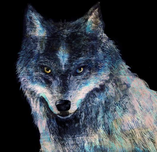 �׽���ʦ���������ջ���16������跢�� �׻���ͼ�״�����