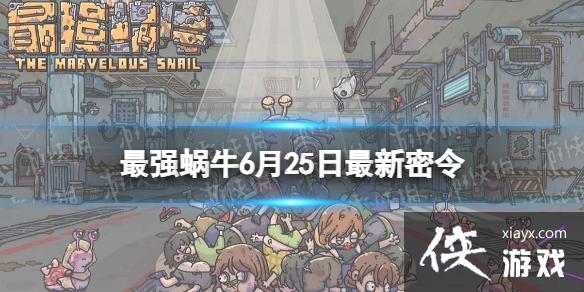 ��ǿ��ţ6��25����������