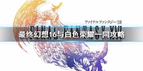 �����ջ���16��֧��������ô��ɣ�  ���ɫ��ҫһͬ����