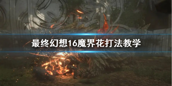 �����ջ���16��ħ�绨�򷨽�ѧ  ħ�绨��ô��