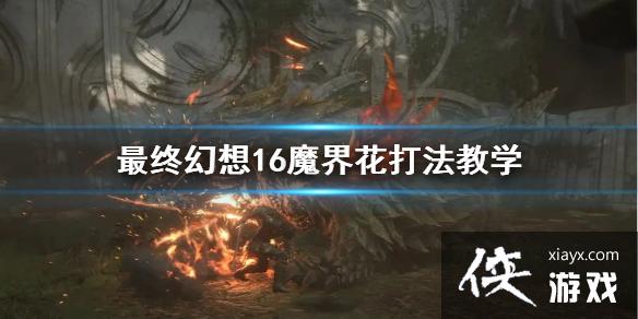 �����ջ���16��ħ�绨�򷨽�ѧ  ħ�绨��ô��