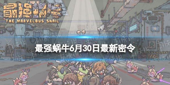 ��ǿ��ţ6��30����������