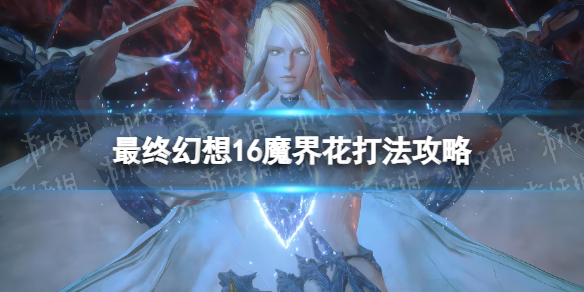 �����ջ���16��ħ�绨�򷨹��� ħ�绨��ôӦ�ԣ�