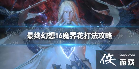 �����ջ���16��ħ�绨�򷨹��� ħ�绨��ôӦ�ԣ�