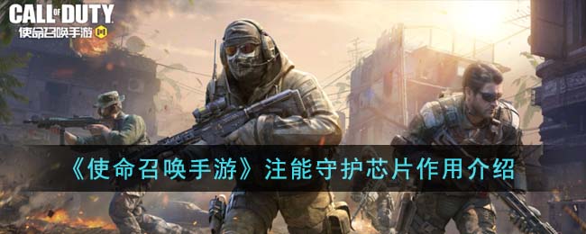 ��ʹ���ٻ����Ρ�ע���ػ�оƬ���ý���