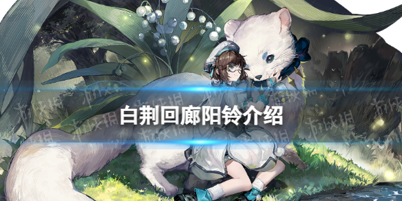 �׾�����������˭