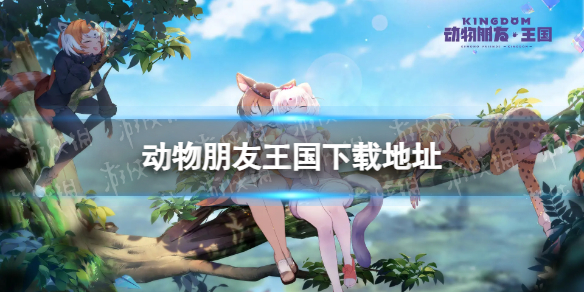 ���������������ص�ַ