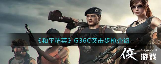 ����ƽ��Ӣ��G36Cͻ����ǹ����