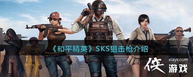 ����ƽ��Ӣ��SKS�ѻ�ǹ��ϸ����