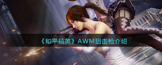 ����ƽ��Ӣ��AWM�ѻ�ǹ��ϸ����