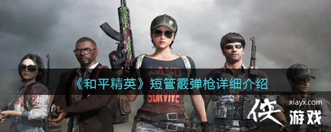 ����ƽ��Ӣ���̹�����ǹ��ϸ����