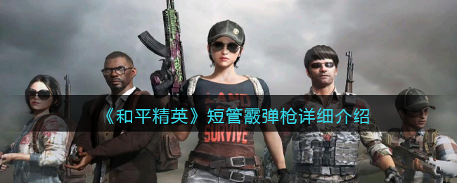 ����ƽ��Ӣ���̹�����ǹ��ϸ����