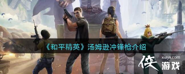 ����ƽ��Ӣ����ķѷ���ǹ��ϸ����