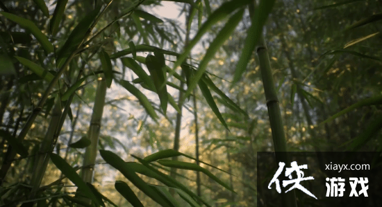 ���ɽ�������3��������Ԥ����Ϯ��2024���ļ�����