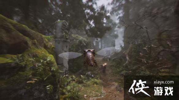 ��������ա����Իû�����Щ��̬�������淨����