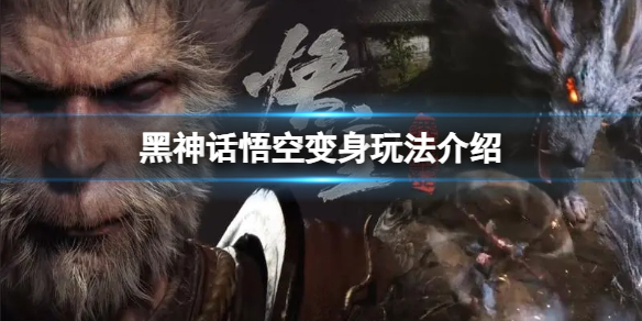 ��������ա����Իû�����Щ��̬�������淨����