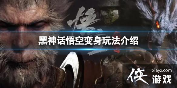 ��������ա����Իû�����Щ��̬�������淨����