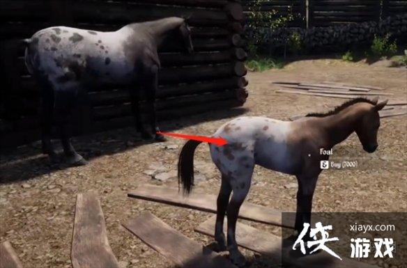 ������������������������ʱ��˵��