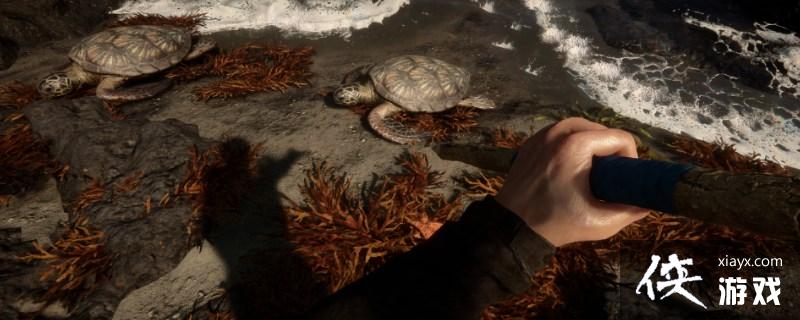 ��ɭ��֮�ӡ��������