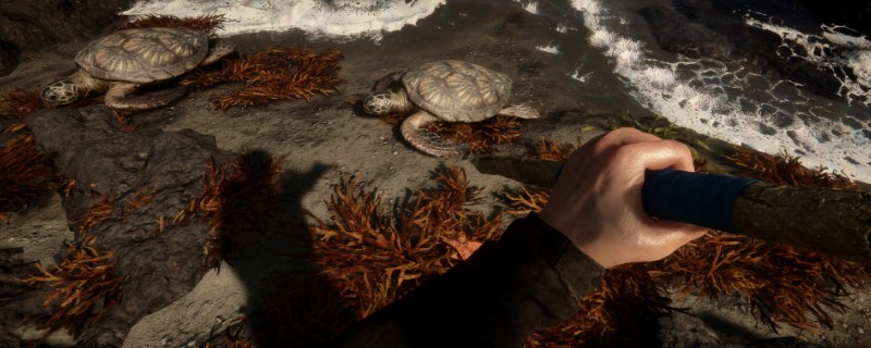 ��ɭ��֮�ӡ����Ϲ�����