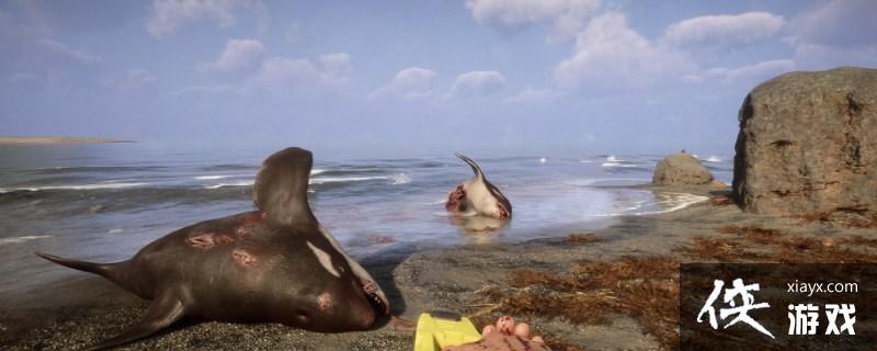 ��ɭ��֮�ӡ���ǹ��������