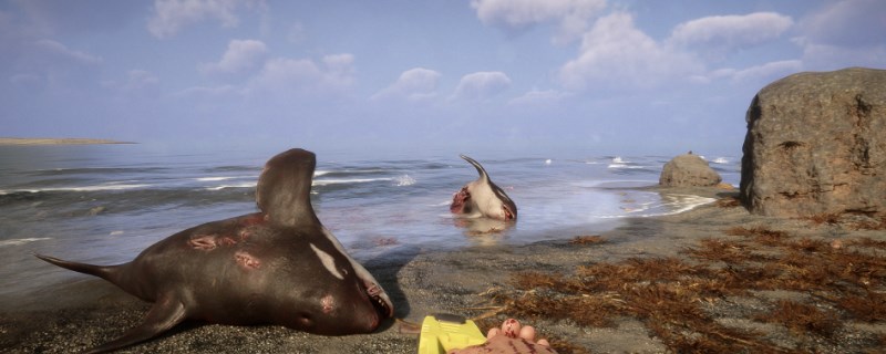 ��ɭ��֮�ӡ�ARCHITECT��ô����