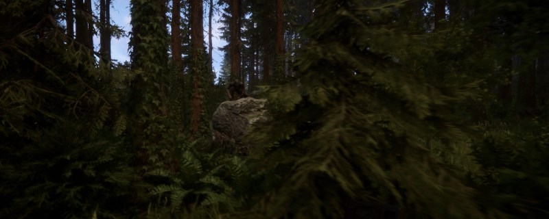 ��ɭ��֮�ӡ��ƽ��������